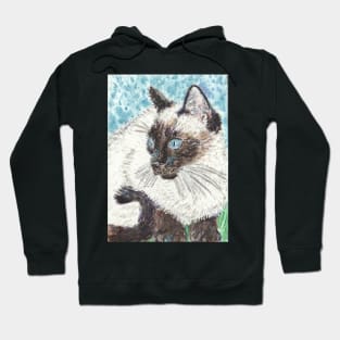 Cute  Siamese cat Hoodie